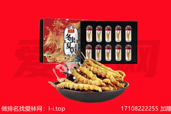桥西区回收虫草.jpg